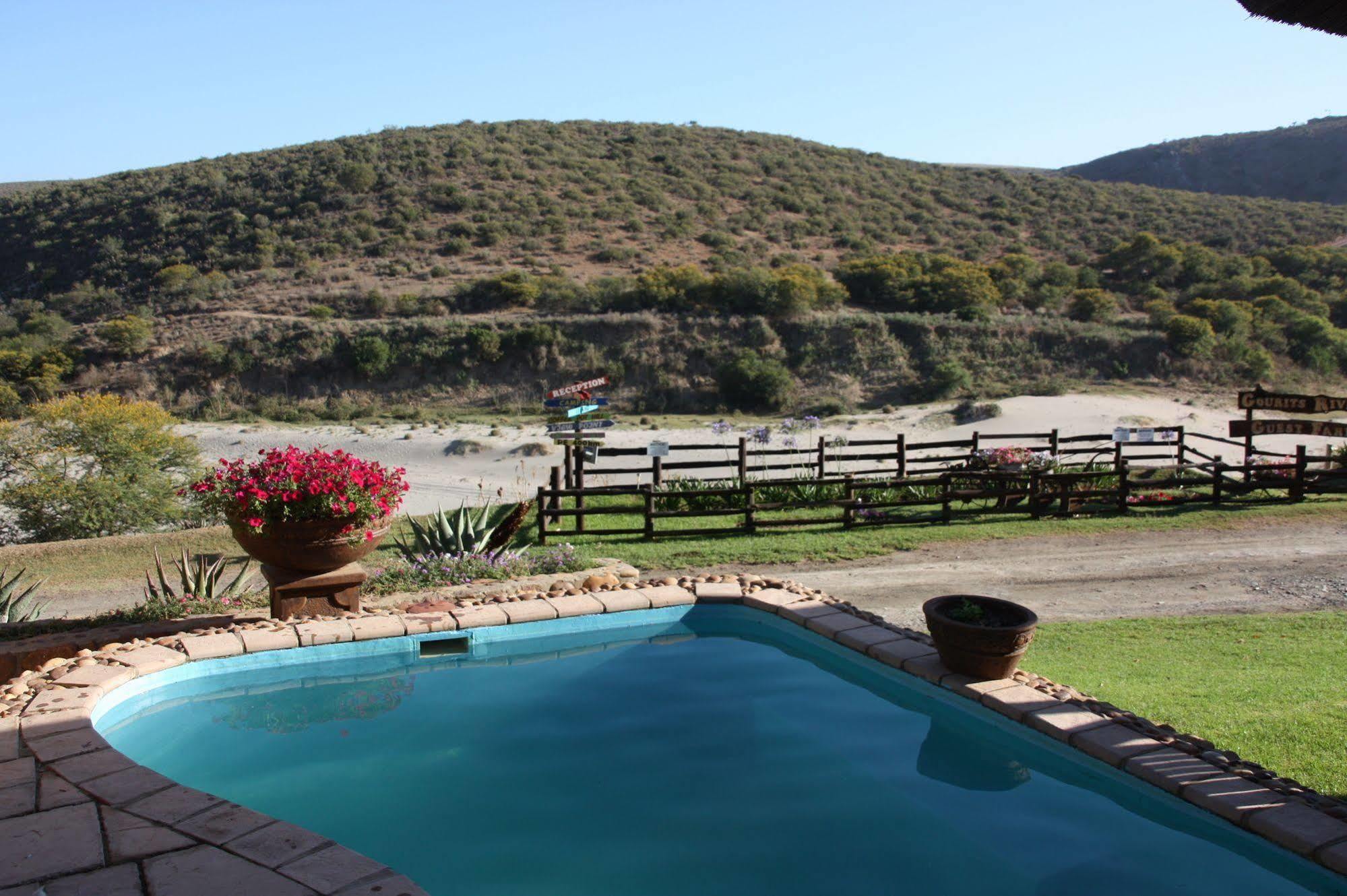 Gourits River Guest Farm Albertinia Extérieur photo